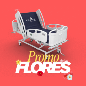 Cama Hospitalaria Vital PL4