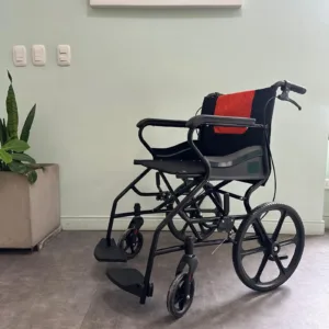 Silla de Ruedas de Compañía en Acero LP3